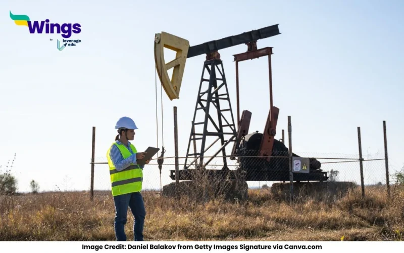 What are potential and actual resources