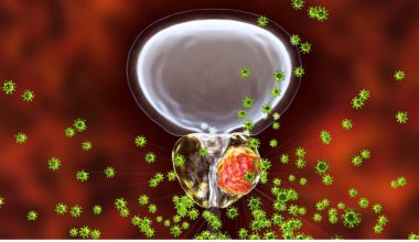 How-do-Apocrine-Exocrine-Merocrine-and-Holocrine-Glands-Differ