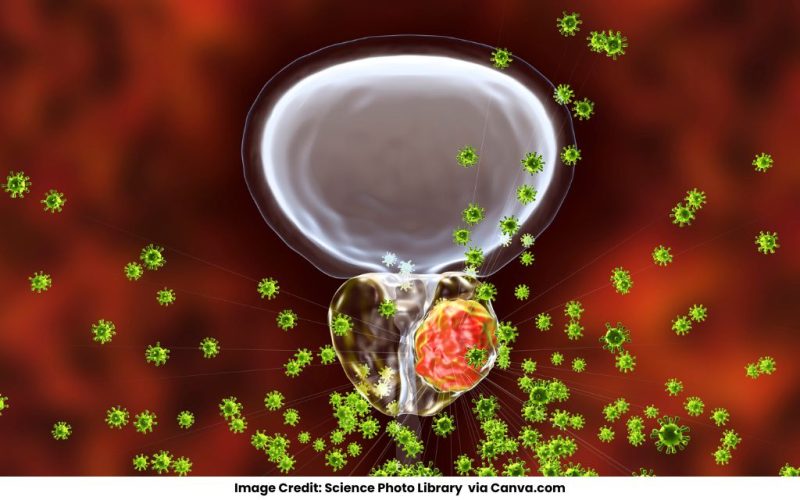 How-do-Apocrine-Exocrine-Merocrine-and-Holocrine-Glands-Differ