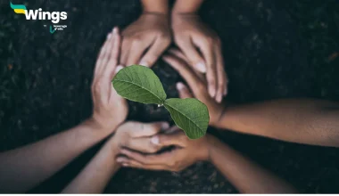 Short Note on the Chipko Movement