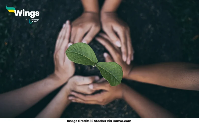 Short Note on the Chipko Movement