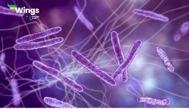 Are-Viruses-Microbes