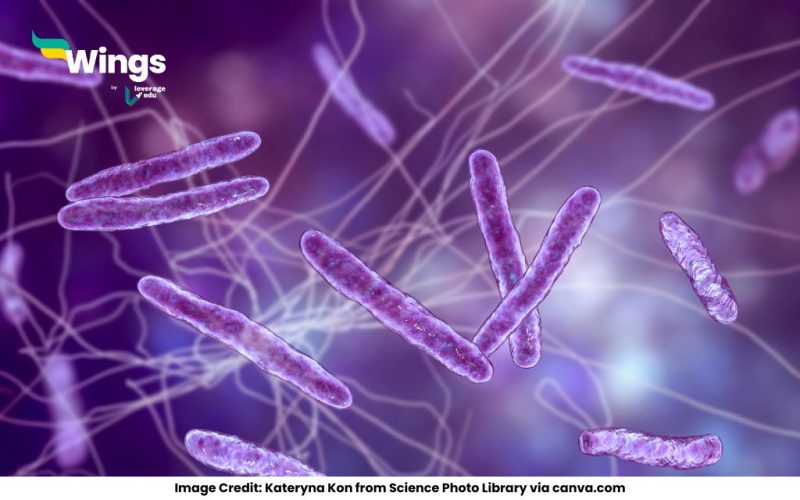 Are-Viruses-Microbes