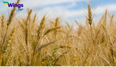 Give reasons. Different crops are grown in different regions