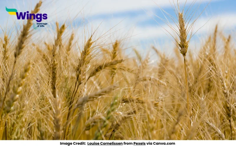 Give reasons. Different crops are grown in different regions