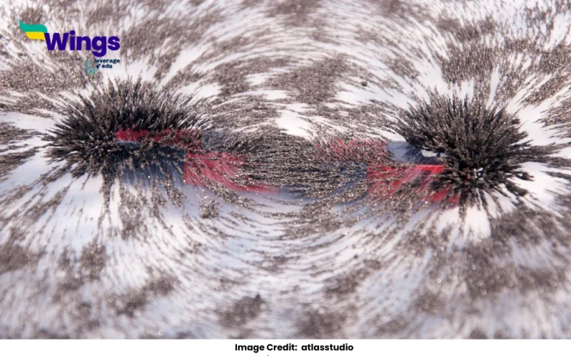 unit of magnetic pole strength in the M.K.S. system