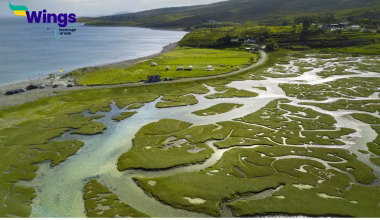 Which of the Following is the Largest Delta in the World?