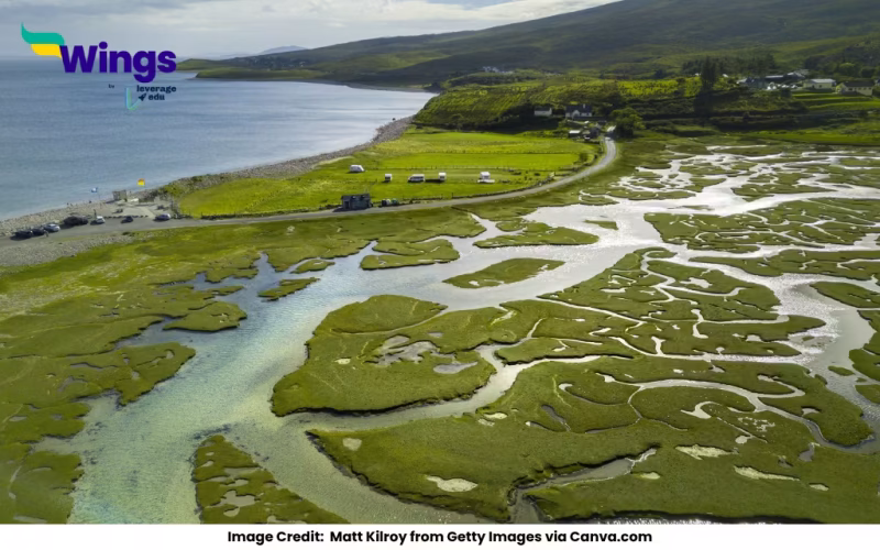 Which of the Following is the Largest Delta in the World?