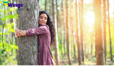 Chipko Movement was strengthened under the leadership of