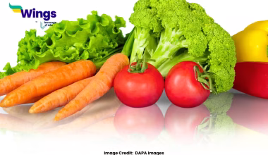 20 Names of Vegetables