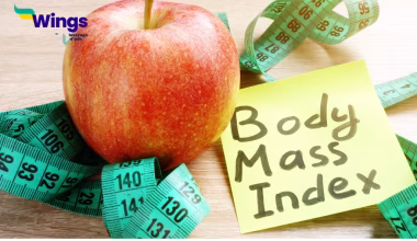 Ways to Maintain BMI