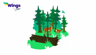 Which is the Largest National Park in India?