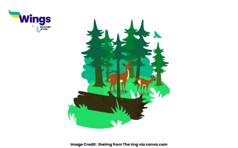 Which is the Largest National Park in India?