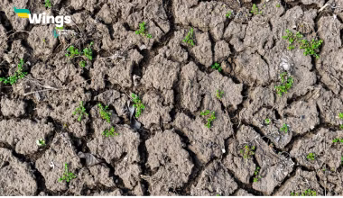 method of checking soil erosion