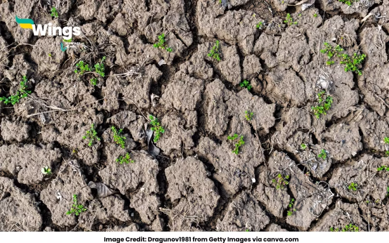 method of checking soil erosion