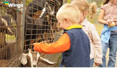 Differentiate between Zoo and Wildlife Sanctuary