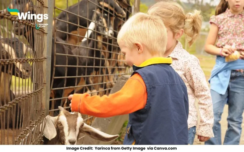 Differentiate between Zoo and Wildlife Sanctuary