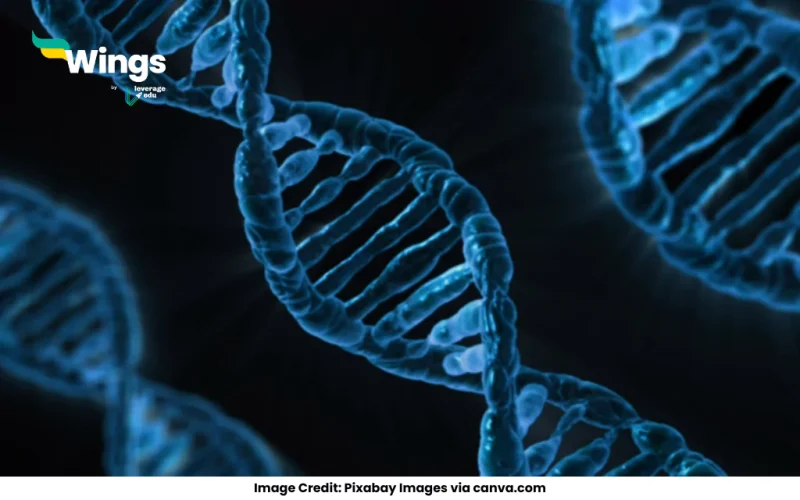 A functional aspect of an ecosystem is