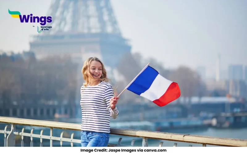 Highlight the features of active and passive citizens of France