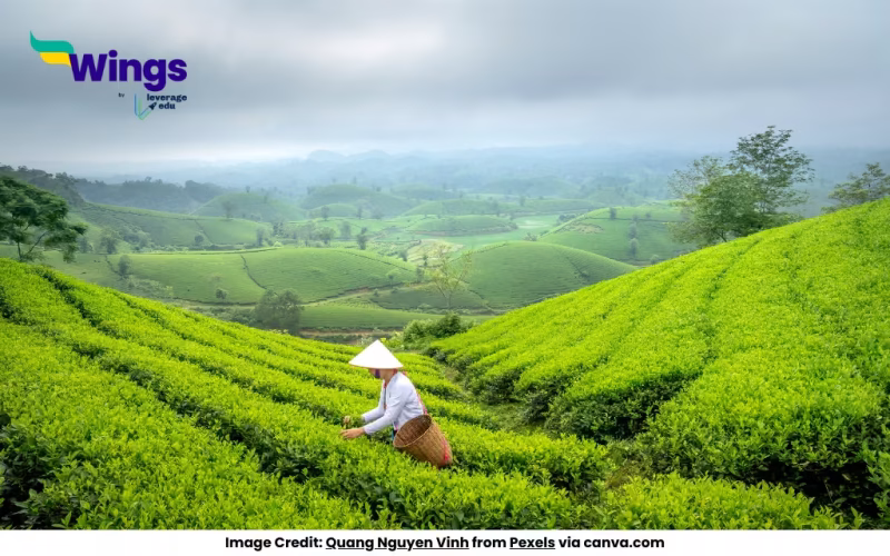 Swaraj for Assam’s Plantation Workers