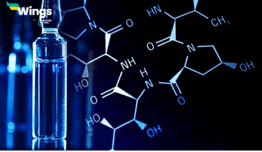 What is the difference between epimers and anomers?