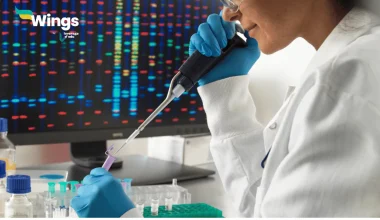 How can you differentiate genomic libraries and cDNA libraries?