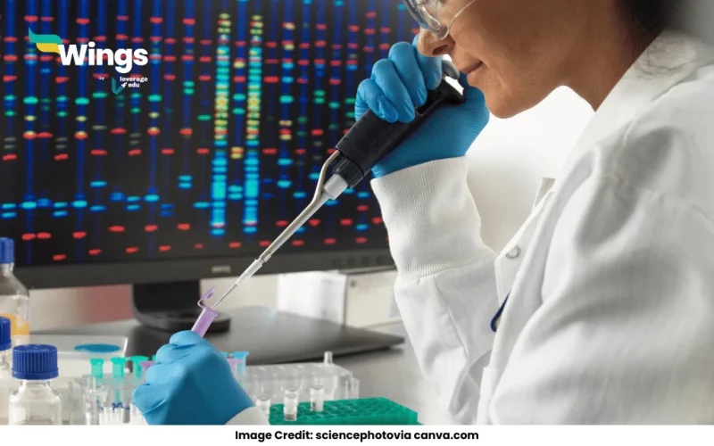 How can you differentiate genomic libraries and cDNA libraries?