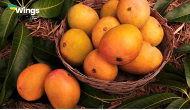 Which-of-the-following-is-Home-of-Alphonso-Mango