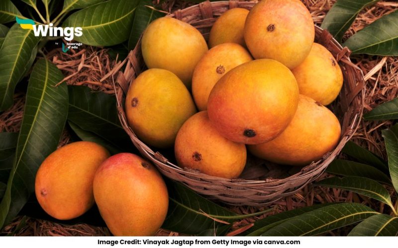 Which-of-the-following-is-Home-of-Alphonso-Mango