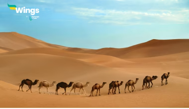 Which of the Following Districts of Rajasthan has the Shortest International Boundary?