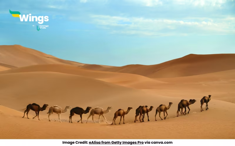 Which of the Following Districts of Rajasthan has the Shortest International Boundary?