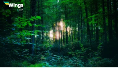 Distinguish between the reserved forests and protected forests