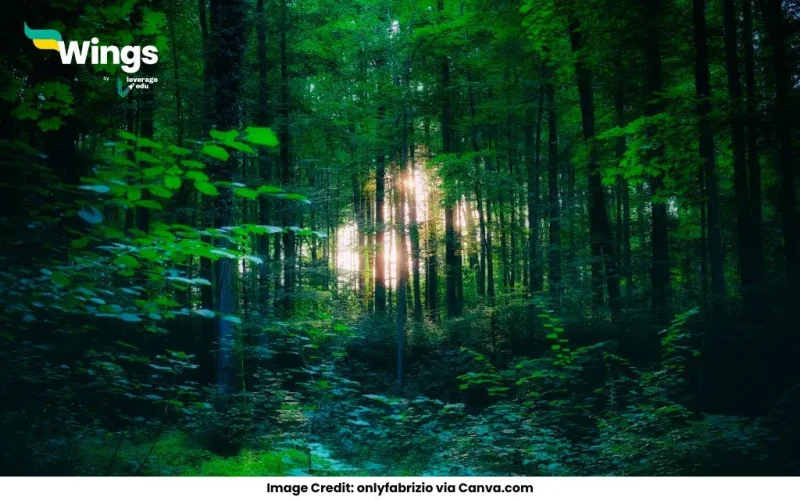 Distinguish between the reserved forests and protected forests