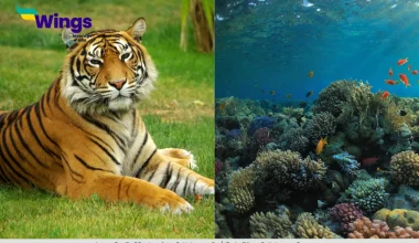 What is the Difference Between Solitary and Sedentary