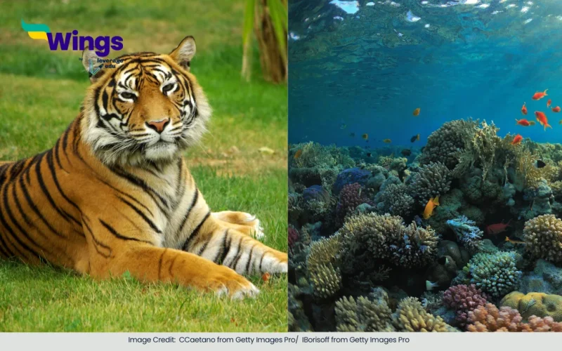 What is the Difference Between Solitary and Sedentary