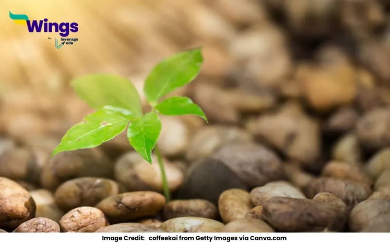 what is life process