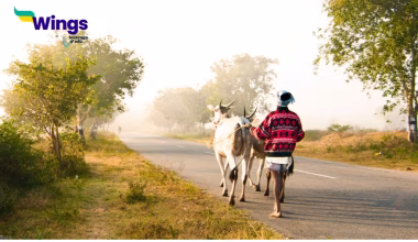 Devsari