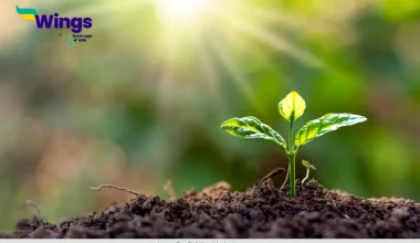 how plant respiration is different from animal respiration