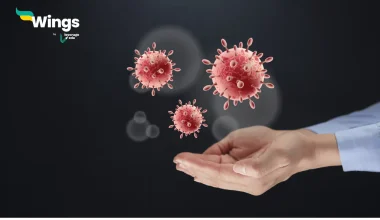 A remedy for all diseases or difficulties is called:-