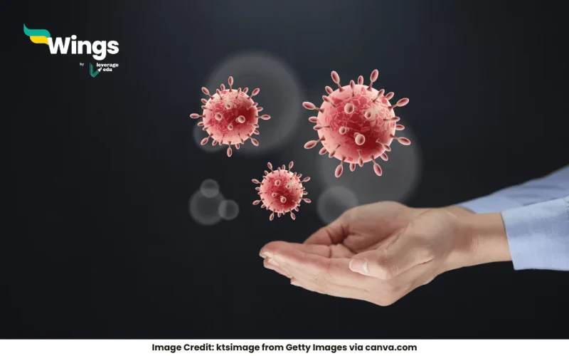 A remedy for all diseases or difficulties is called:-