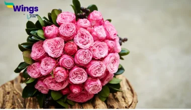 Fill in the blank with a suitable collective noun, choosing from the alternatives given below: She brought a ____________ of flowers on my birthday