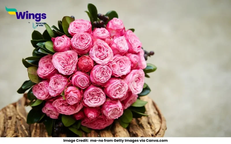 Fill in the blank with a suitable collective noun, choosing from the alternatives given below: She brought a ____________ of flowers on my birthday