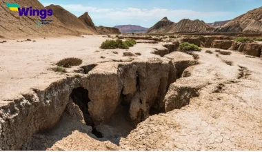 What are exogenic endogenic forces