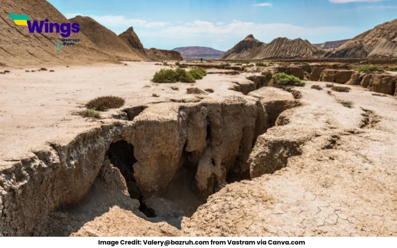 What are exogenic endogenic forces