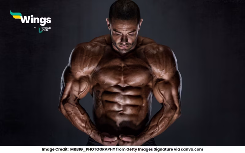 No. 1 Bodybuilder in the World