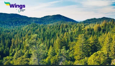 different types of forests in India