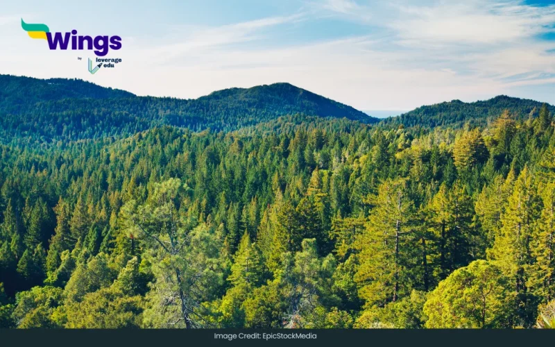 different types of forests in India