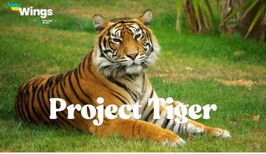 When was 'Project Tiger' started in India?