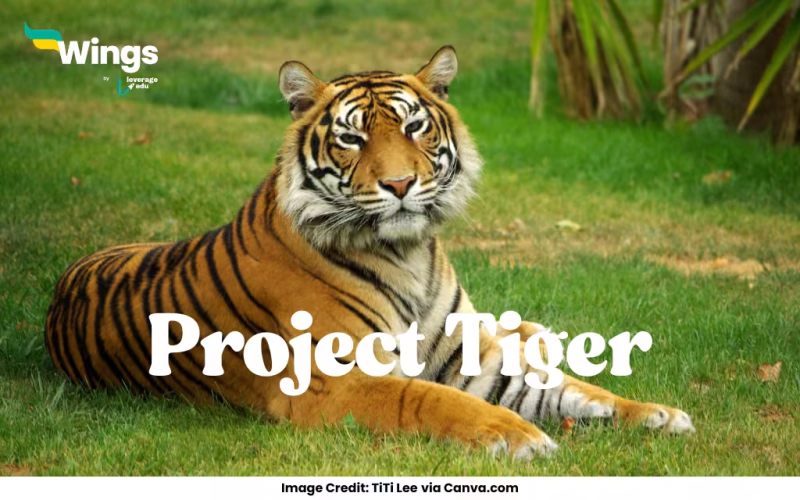 When was 'Project Tiger' started in India?