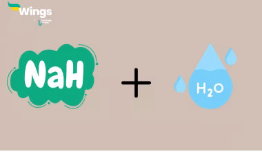 What is Formed in the Reaction of Sodium Hydride with Water?